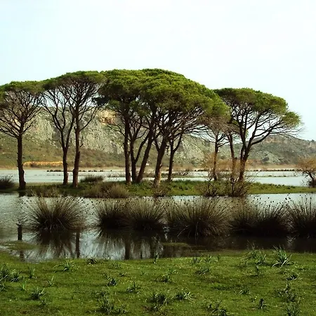 Strofilia Kalogria (Achaea)
